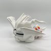 Reshiram