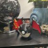 Charizard (Shiny)