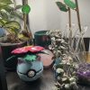 Venusaur